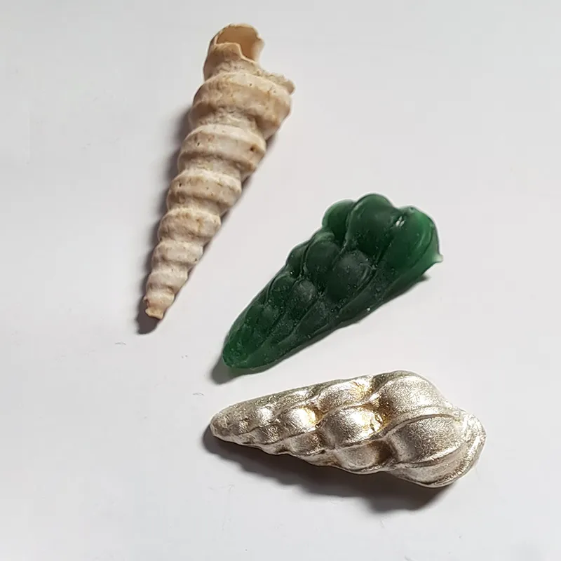 moulage_coquillage_avant-apres.webp