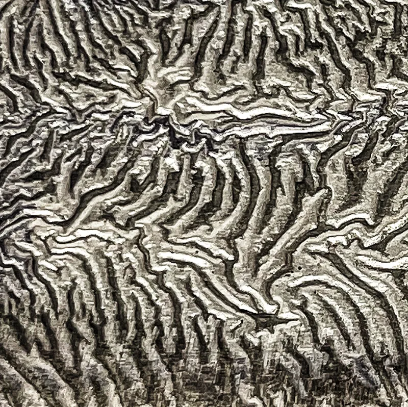 formation_reticulation_MC_zoom.webp