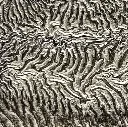 formation_reticulation_MC_zoom.webp